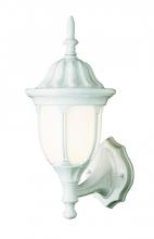Trans Globe 4041 WH - 1LT WALL-MED-OUTD-OPAL GLASS